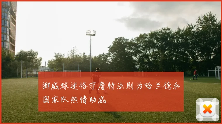 挪威球迷恪守詹特法则为哈兰德和国家队热情助威